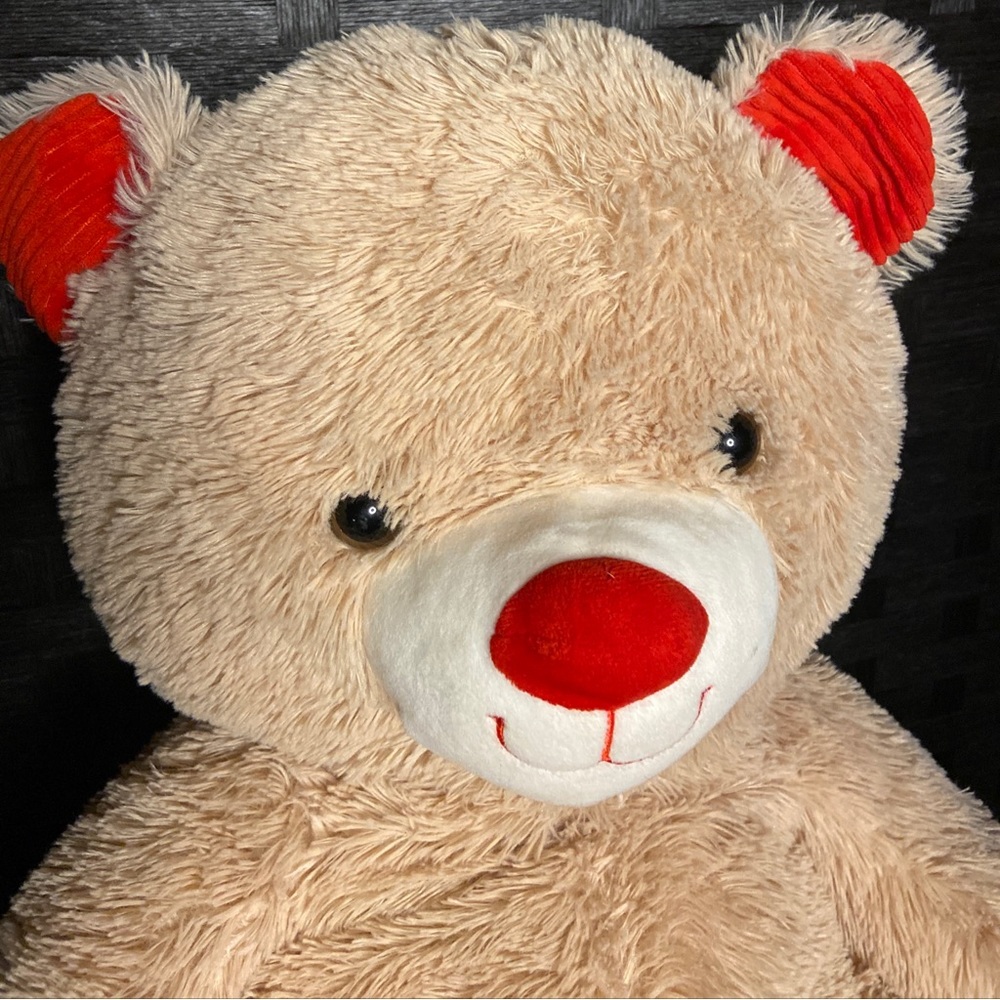 Stuffed animal bear‎